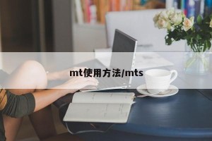 mt使用方法/mts