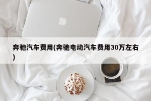奔驰汽车费用(奔驰电动汽车费用30万左右)
