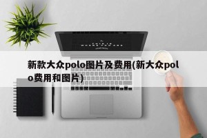 新款大众polo图片及费用(新大众polo费用和图片)