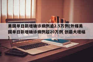 美国单日新增确诊病例逾2.5万例(外媒美国单日新增确诊病例超20万例 创最大增幅)