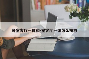 卧室客厅一体/卧室客厅一体怎么摆放